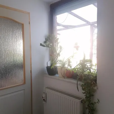 Ujkapu Sunshine * Győr